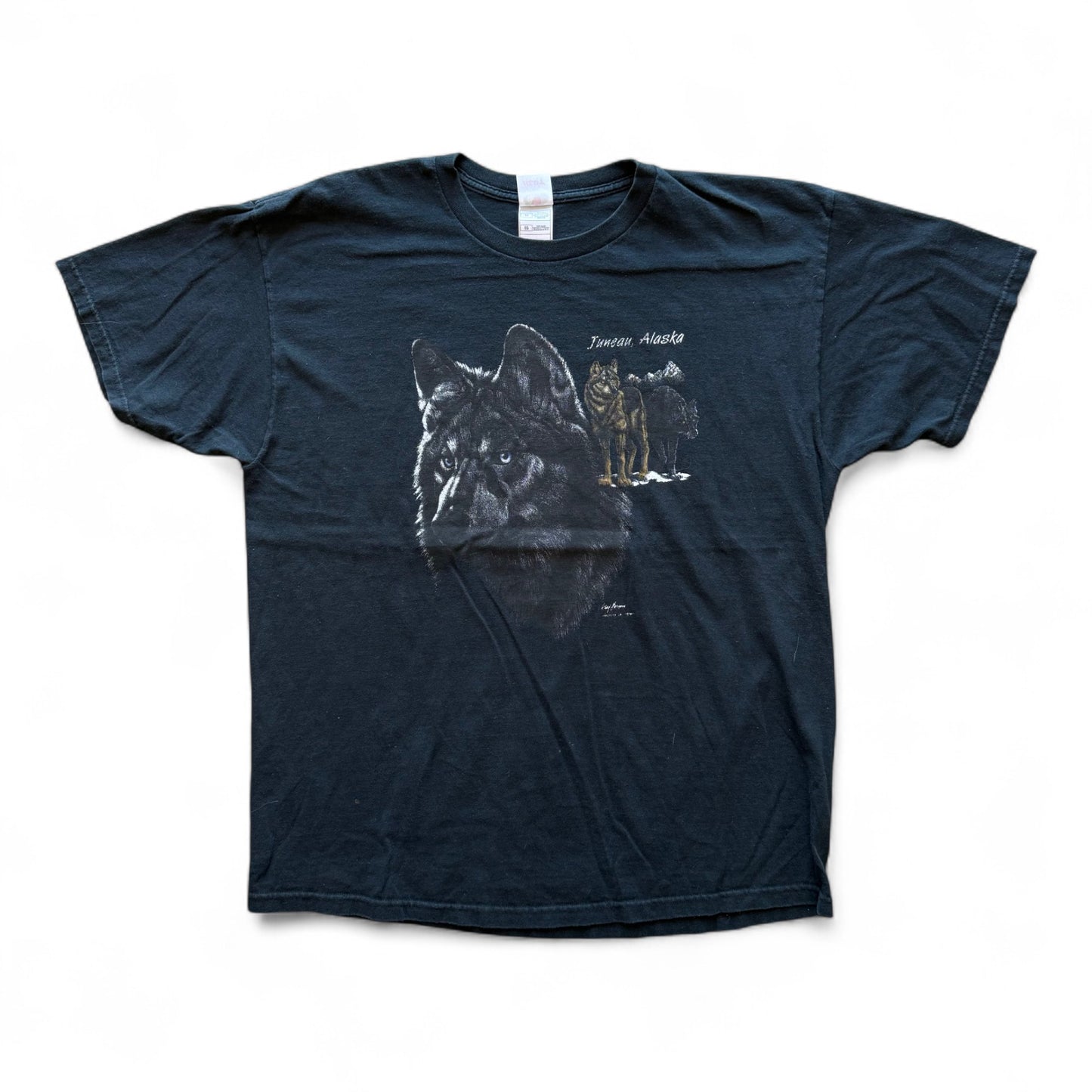 90's Juneau, Alaska T-Shirt