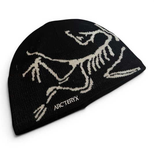 Arc'teryx Bird Head Toque