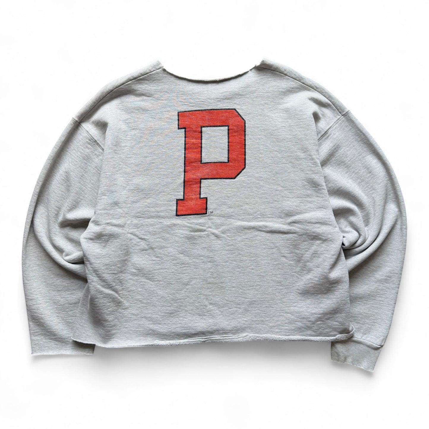 90's Princeton Crewneck
